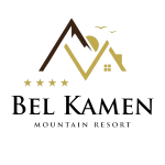 logo transparent
